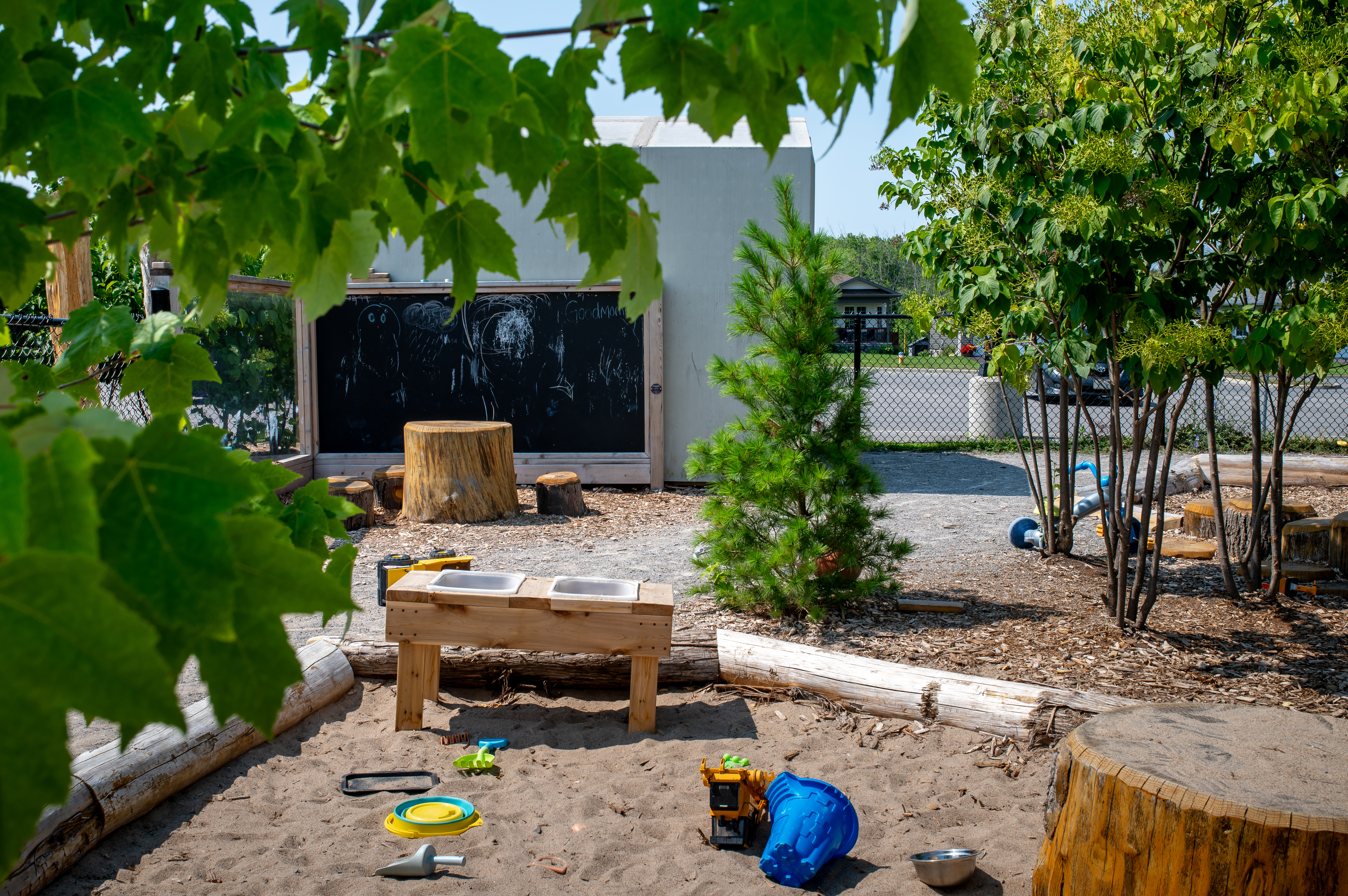 Inclusion Support Services